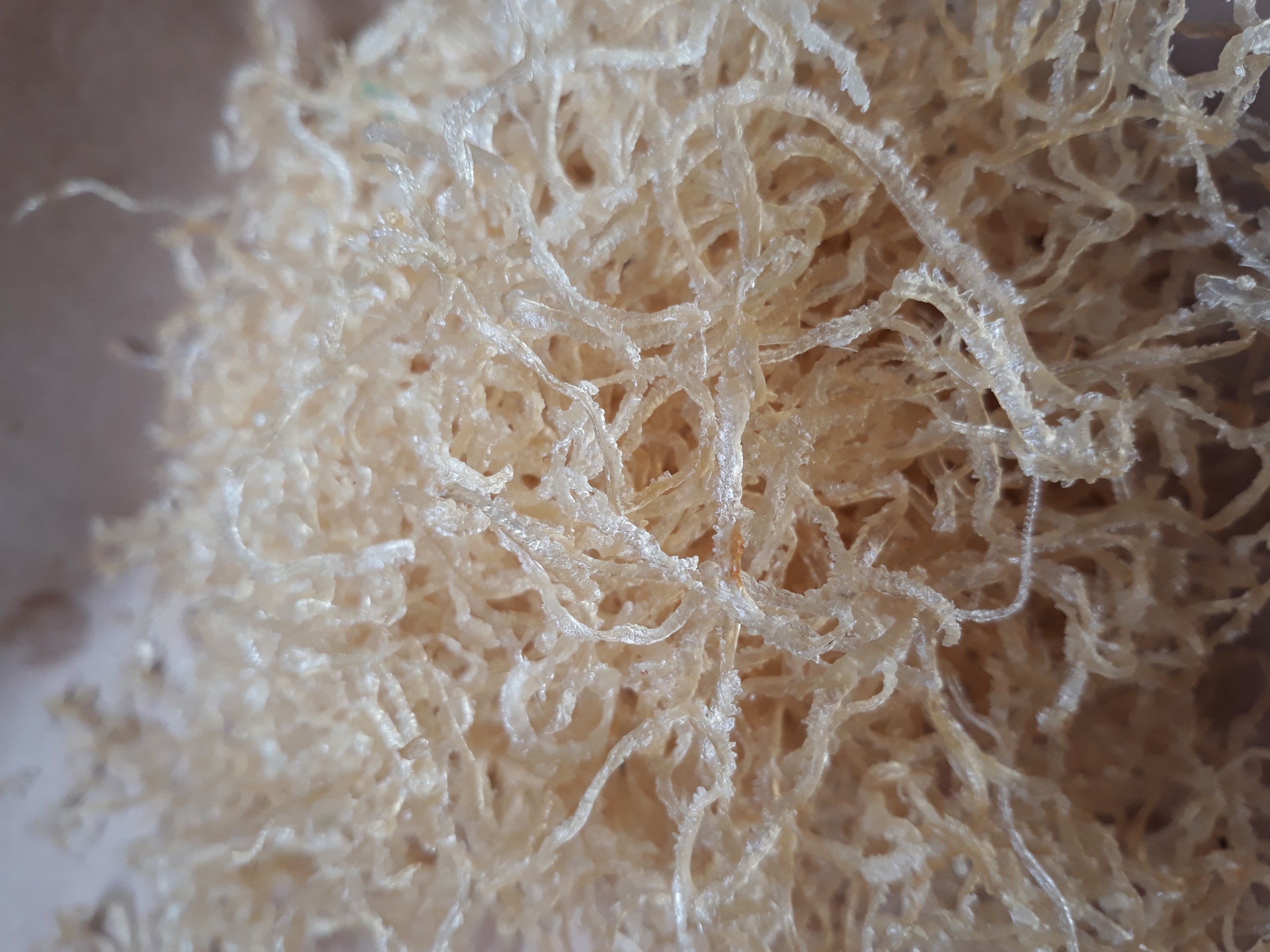 [HCM]BÌ SẤY KHÔ 300g