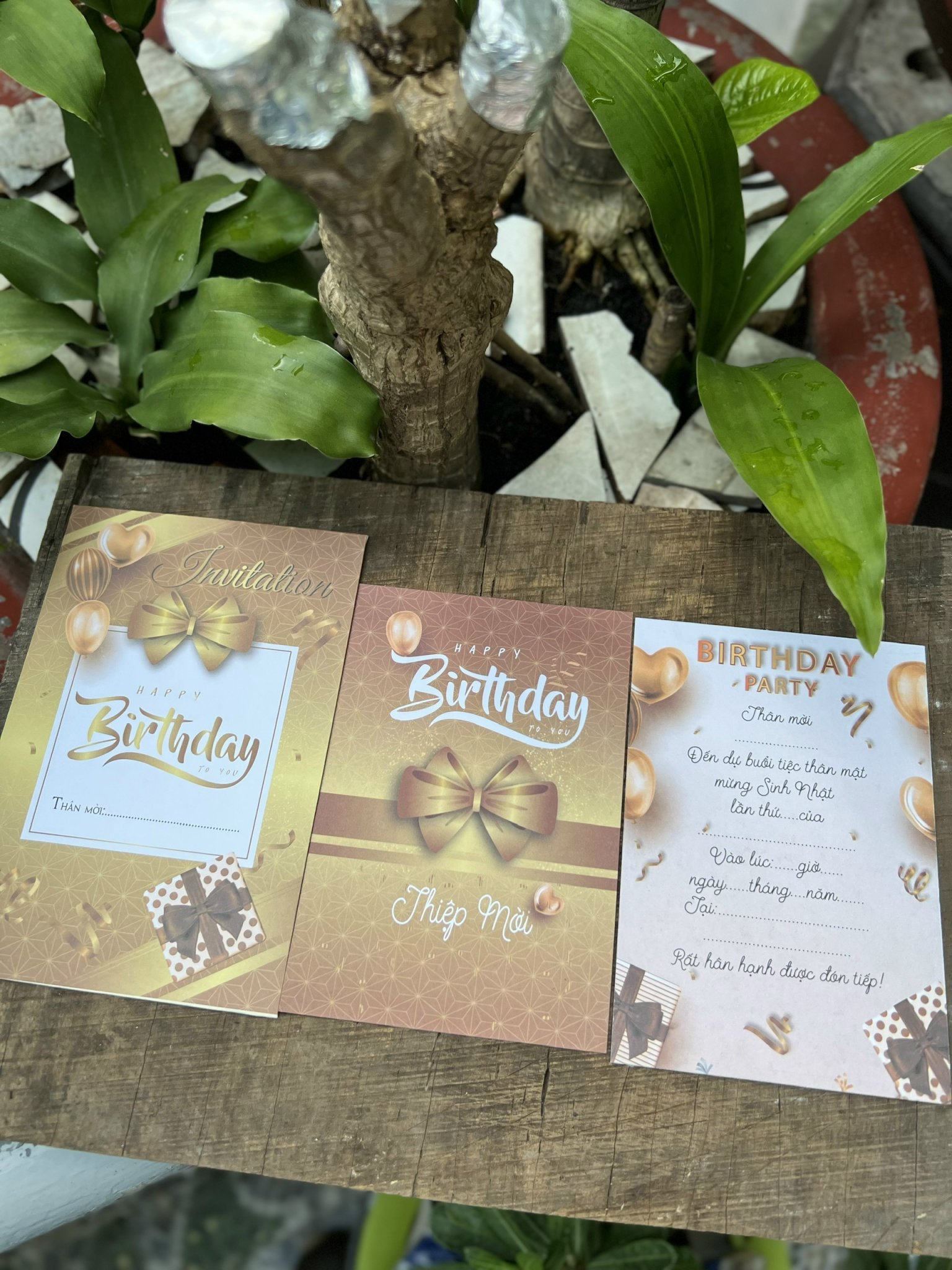 Combo 30 thiệp mời sinh nhật người lớn sang trọng