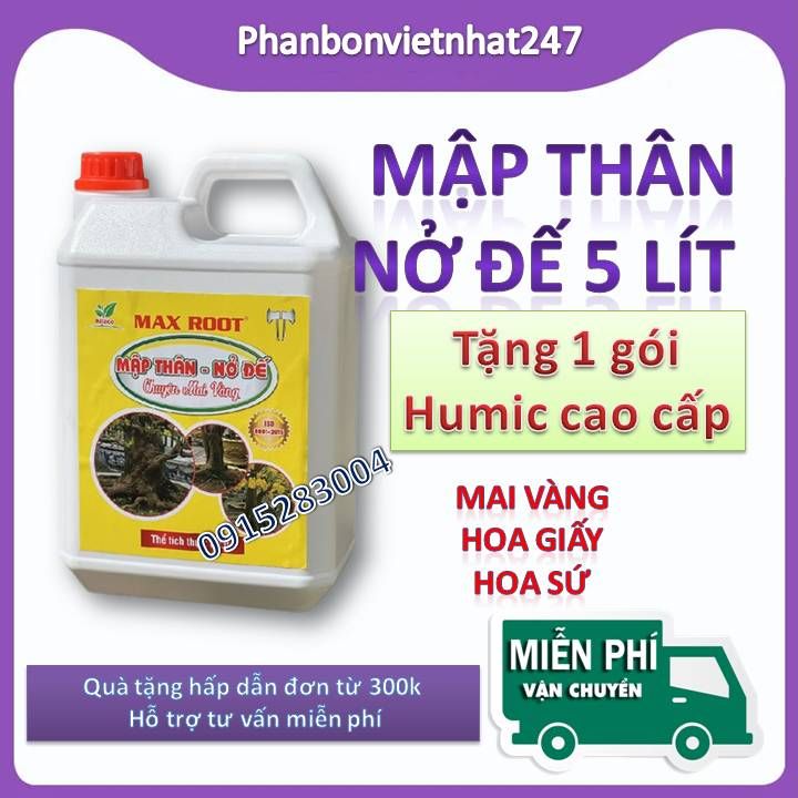 PHÂN BÓN MẬP THÂN NỞ ĐẾ MAI VÀNG MAXROOT 5 LÍT