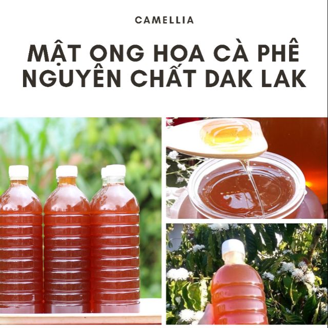 1 LÍT MẬT ONG HOA CÀ PHÊ DAKLAK