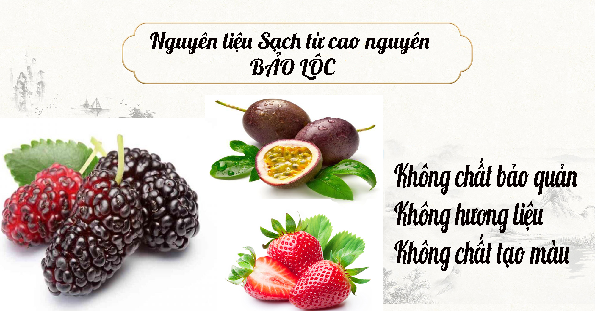 Compo 2 chai nước cốt chanh dây không hạt 1000ml-[chỉ giao khu vực miền Nam]