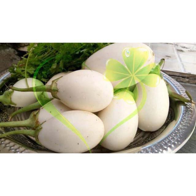 Hạt giống cà trứng ngỗng - Gói 1g