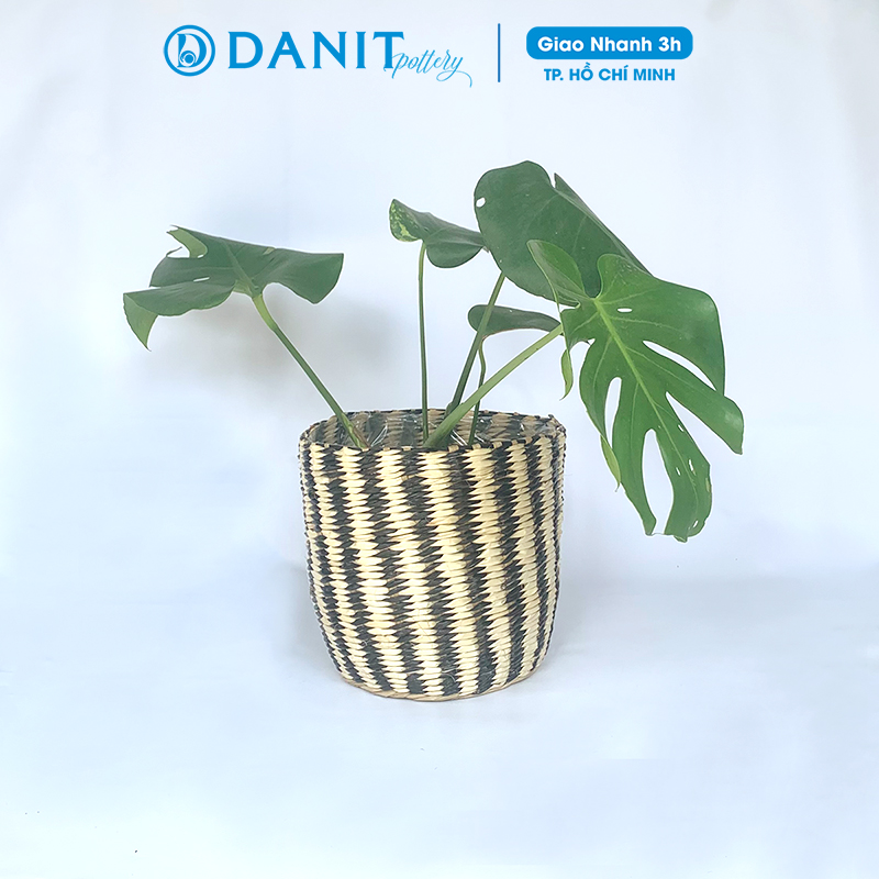 Giỏ cói trồng cây | Giỏ đựng đồ | Giỏ đựng mỹ phẩm (Giỏ cói phối buông) Danit Pottery