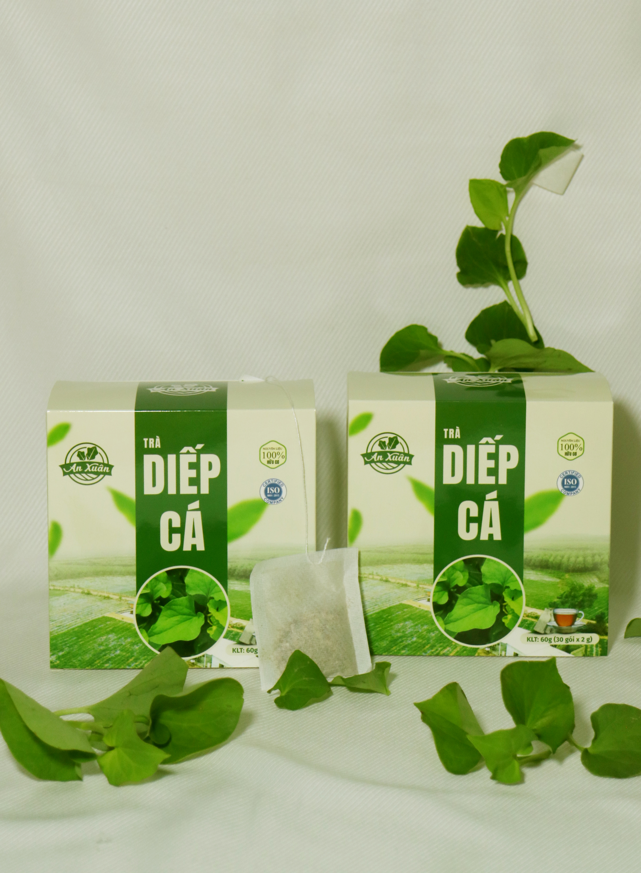 Trà diếp cá - An Xuân