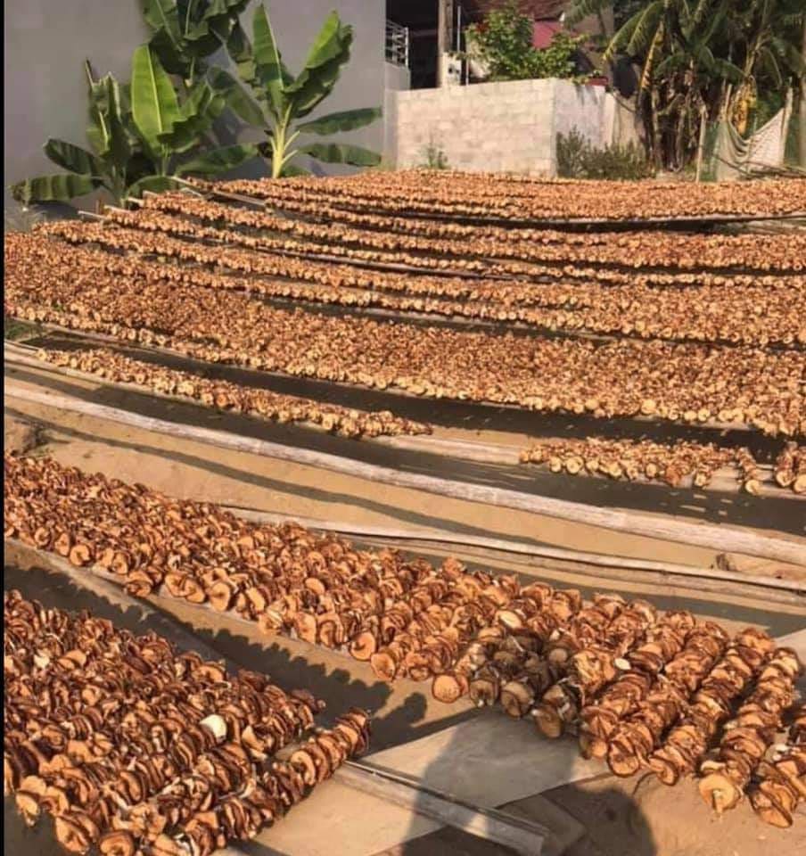Nấm Hương Rừng 100gr