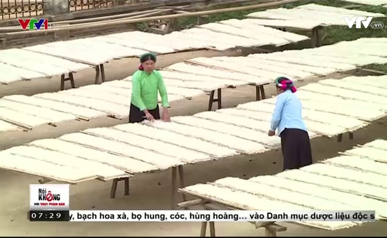 Miến Dong Bình Liêu 1KG