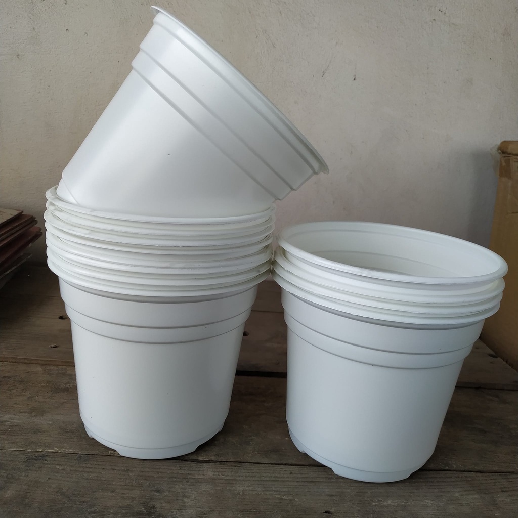 Combo 10 Chậu Nhựa Mỏng Trồng Cây