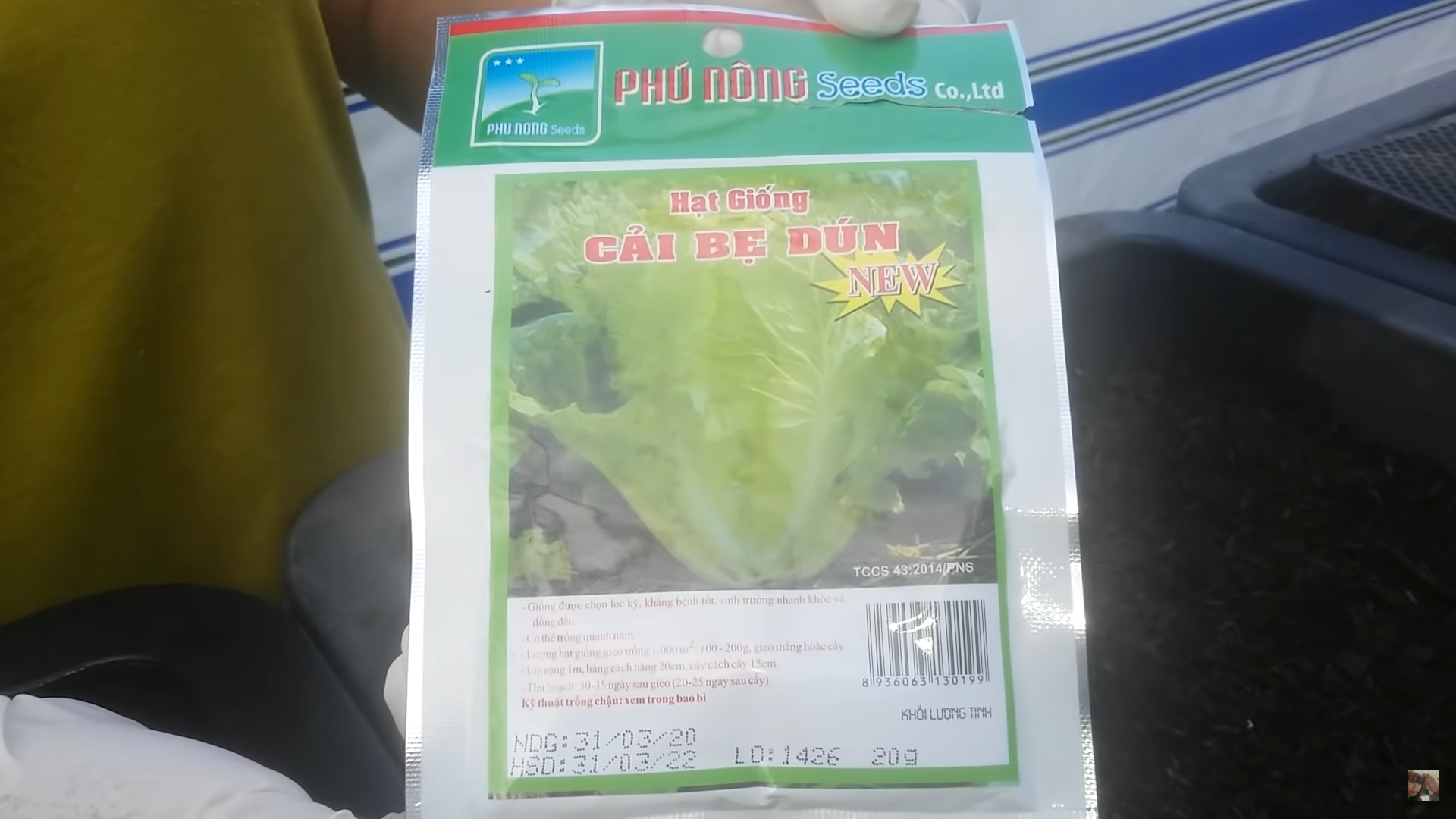 [HCM] Cải bẹ dún Phú Nông 20g