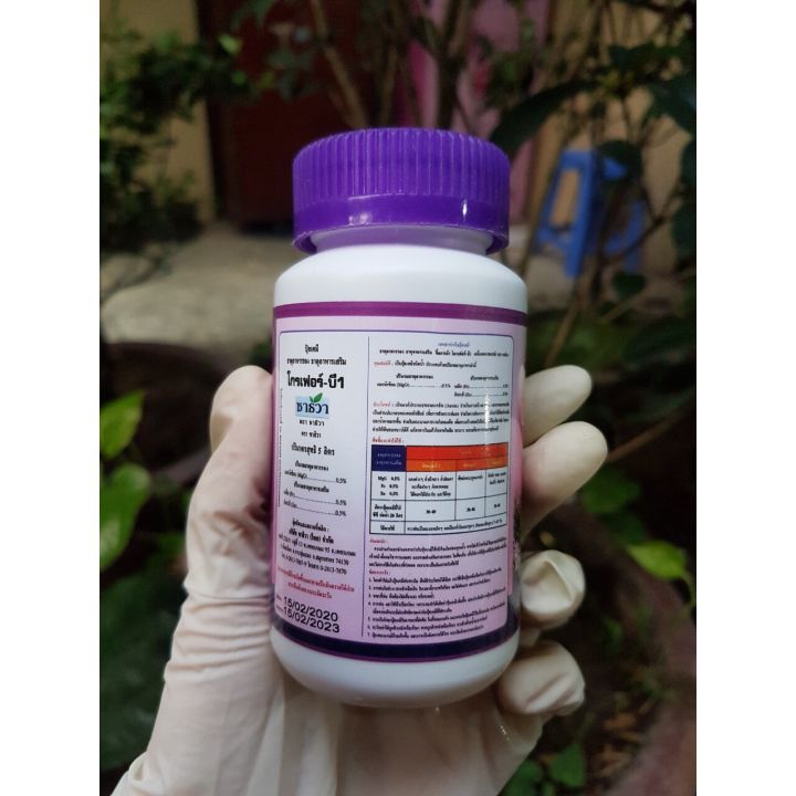 Vitamin B1 Grofer [100ml]- phân bón lá cao cấp Thái Lan