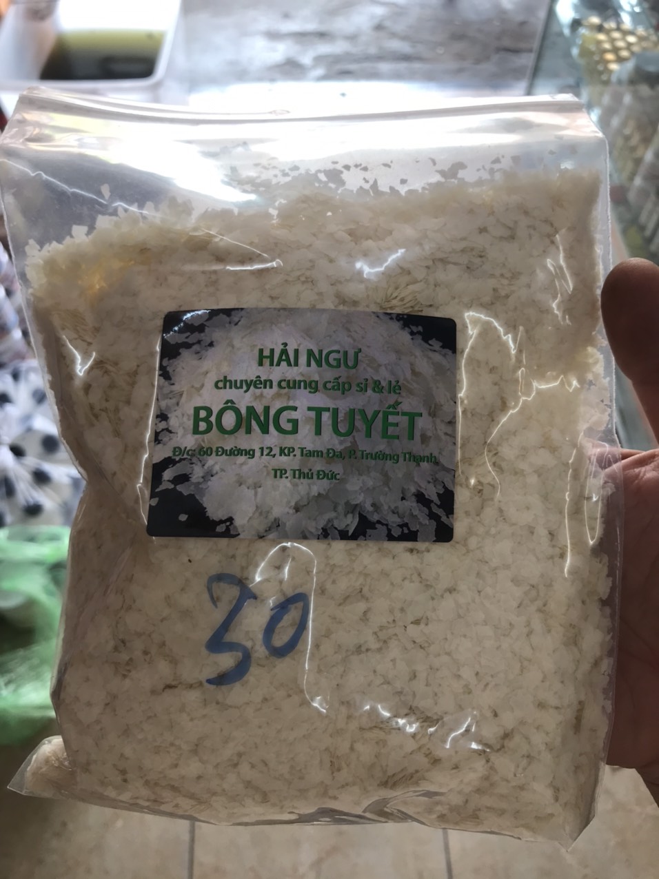 BỘT BÔNG TUYẾT CÂU CÁ HẢI NGƯ