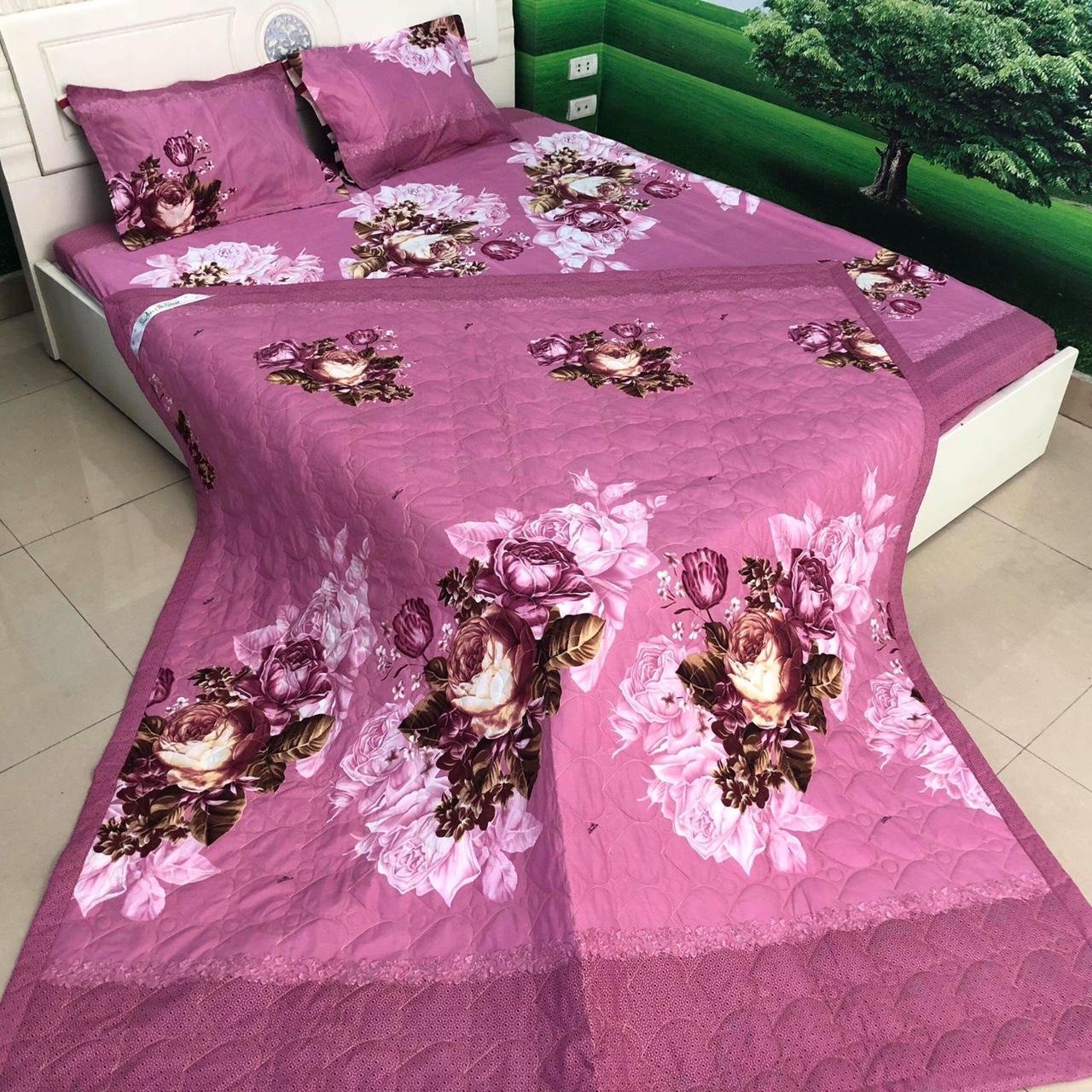 Ga Trải Giường Poly Cotton 1m8x2m chọn mẫu ngay trên bài, sao rơi