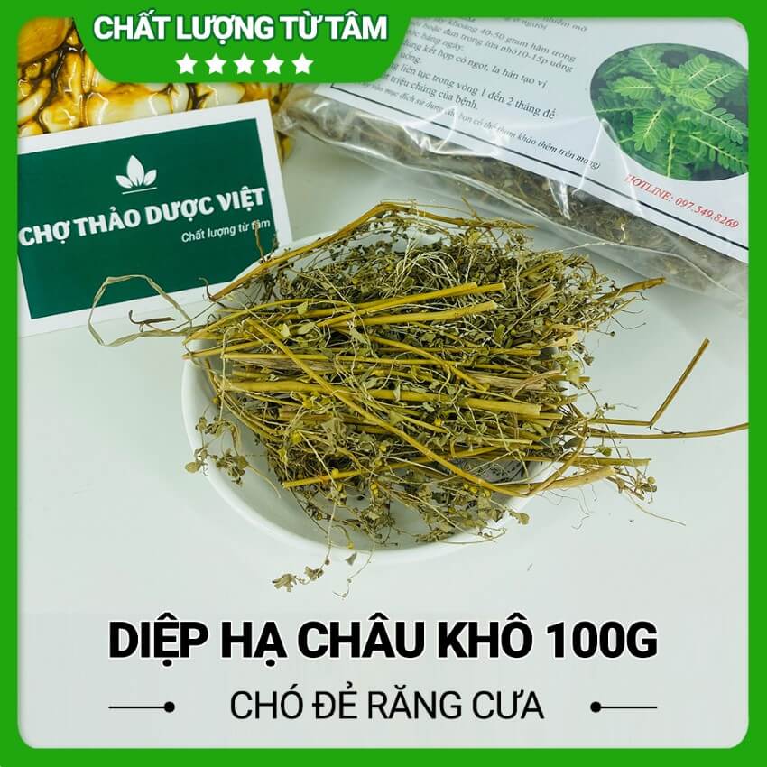 Trà Diệp Hạ Châu - Chó Đẻ Răng Cửa Khô Cao Cấp 100g