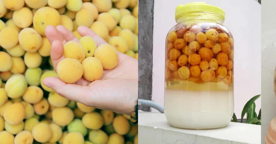 mơ ngâm đường giải khát hủ 1kg