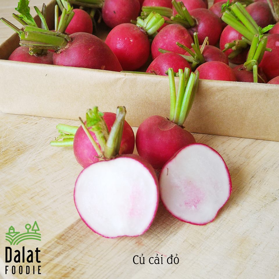 Hạt Giống Củ Cải Mini Đỏ Năng Suất Cao 1gr