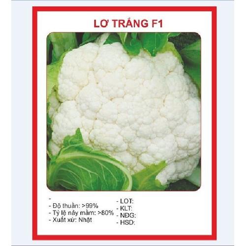 Hạt giống Súp lơ trắng - 0.2Gram/gói TẶNG gói kích thích hạt nảy mầm