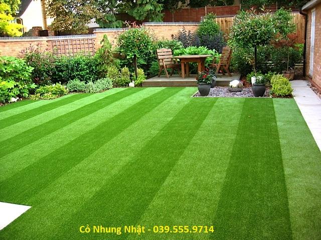 Hạt Giống Cỏ Nhung Nhật gói 100g- Cỏ Trồng Thảm cảnh- Cỏ Trồng Sân Vườn - Cỏ Cảnh Quan...