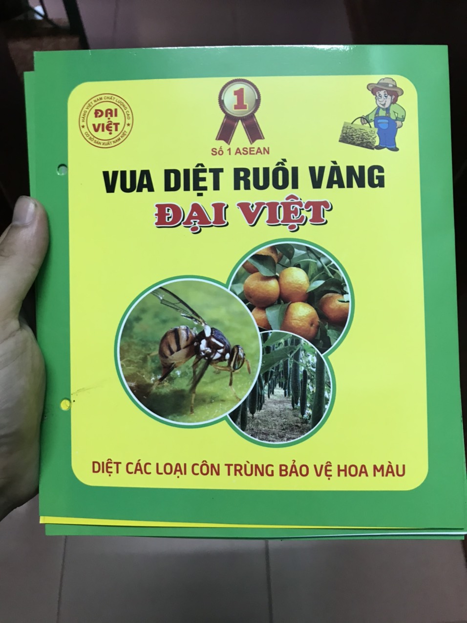 [Hoàn Tiền 10%] Combo 10 chiếc bẫy dính ruồi vàng Đại Việt diệt ruồi vàng nhanh chóng hiệu quả diệt ruồi vàng cho cây ăn quả diệt tận gốc ruồi vàng