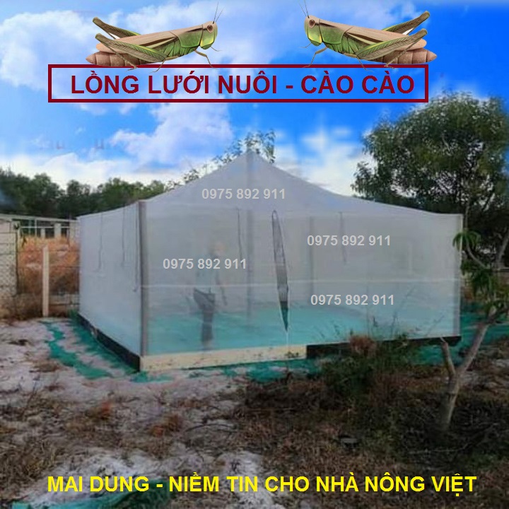 Lồng nuôi cào cào 3x2x2