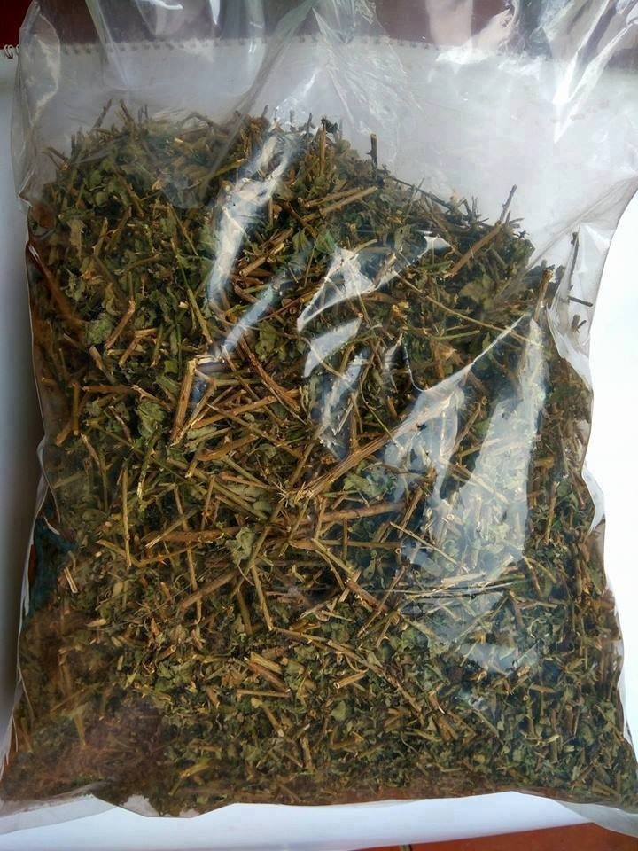 Cà gai leo khô Sadu 1kg