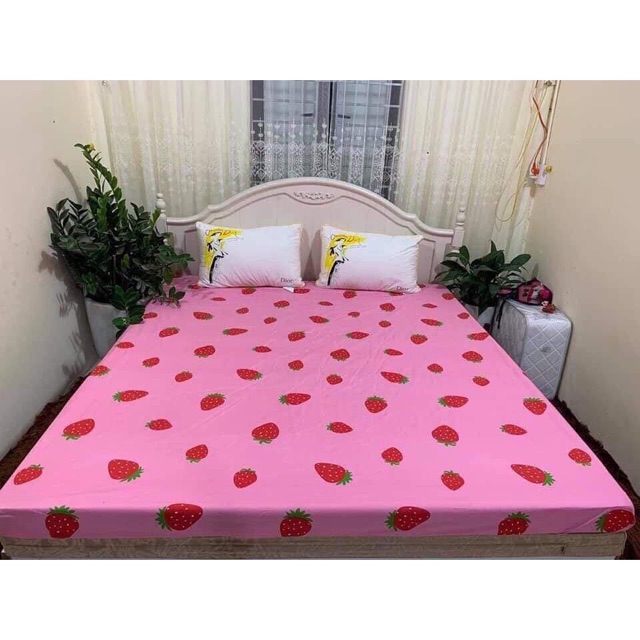 Ga Chống Thấm Coton Hàng Xịn