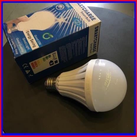 Bóng đèn led 9W nhúng nước tự phát sáng
