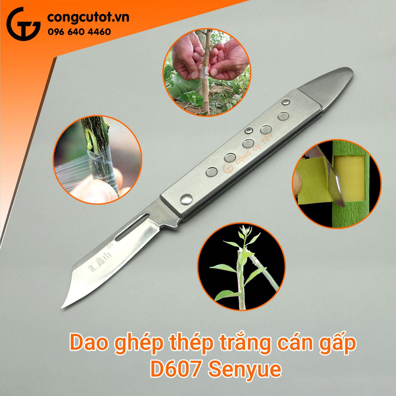 Dao ghép cành cây Senyue Đài Loan