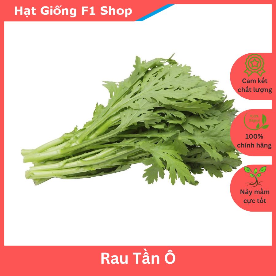 Hạt Giống Rau Tần Ô Cúc Tẻ Thơm Ngon 20 Gam