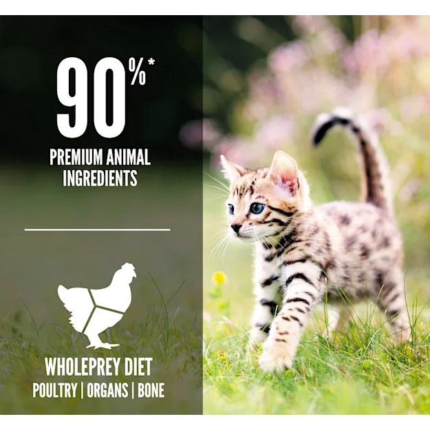 (Nguyên Seal) ORIJEN KITTEN - Thức Ăn Hạt Cho Mèo Con - (4lbs/1.8kg)