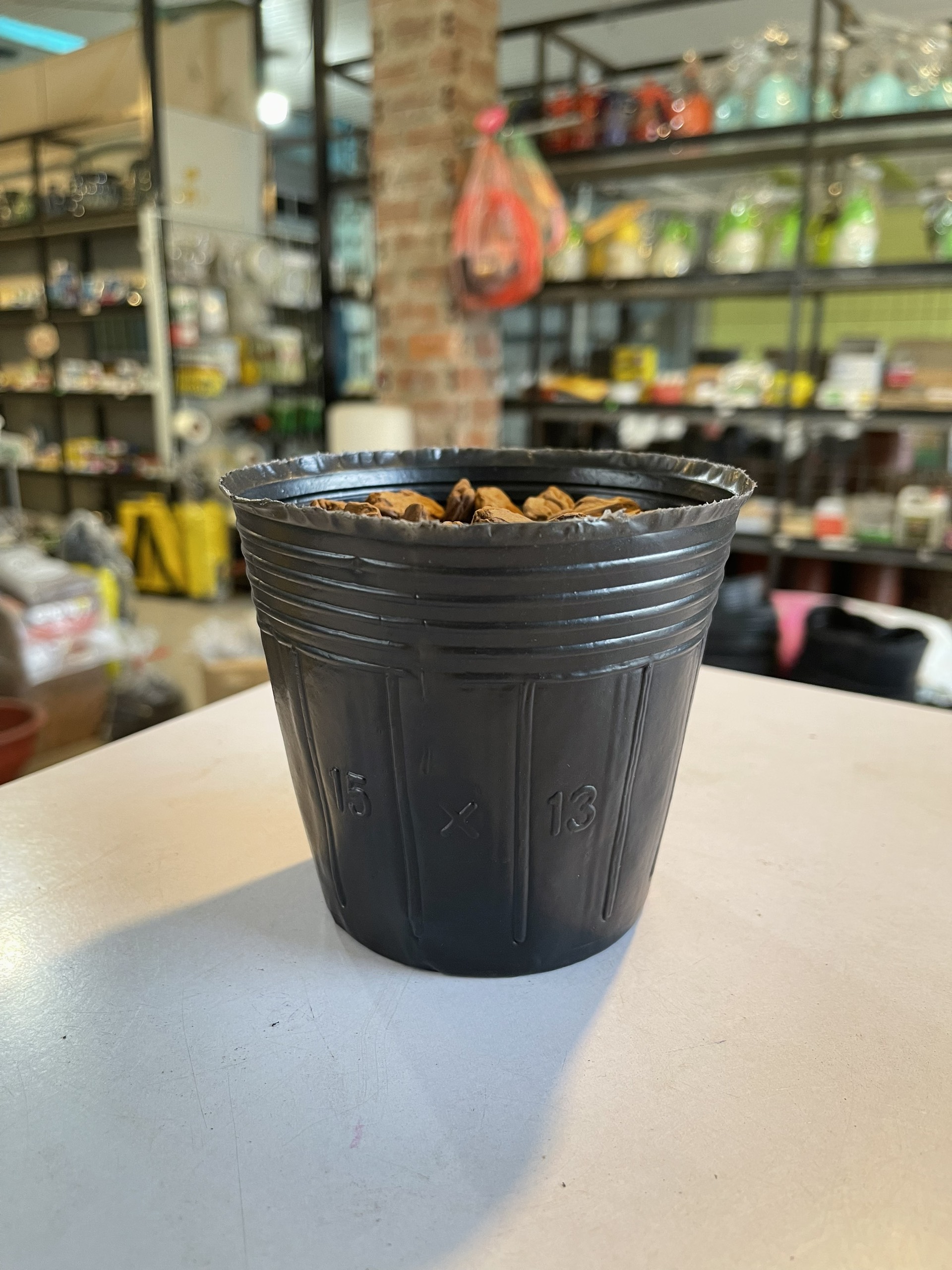 5 kg túi bầu ươm cây cỡ 15x13