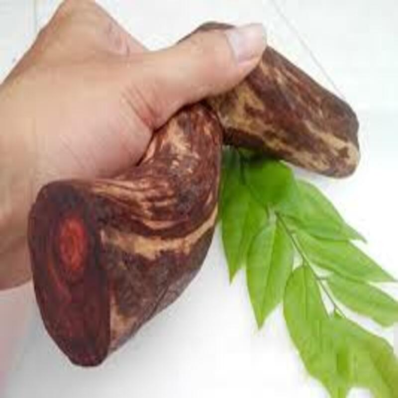 Cây giống Sưa đỏ có giá trị kinh tế cao
