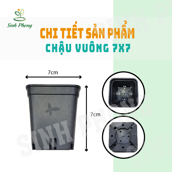 Chậu vuông 7x7 đen (set 50 cái)