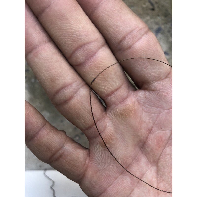 [HCM]Giò bẩy chim Cu Gáy cao cấp cáp se 7