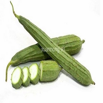 MƯỚP KHÍA
