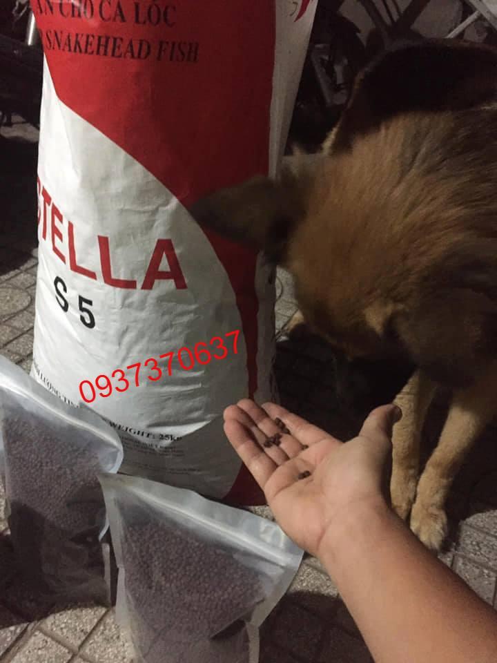 cám STELLA cá KOI, cá vàng, cá cảnh dành cho cá nhỏ S5- 5kg