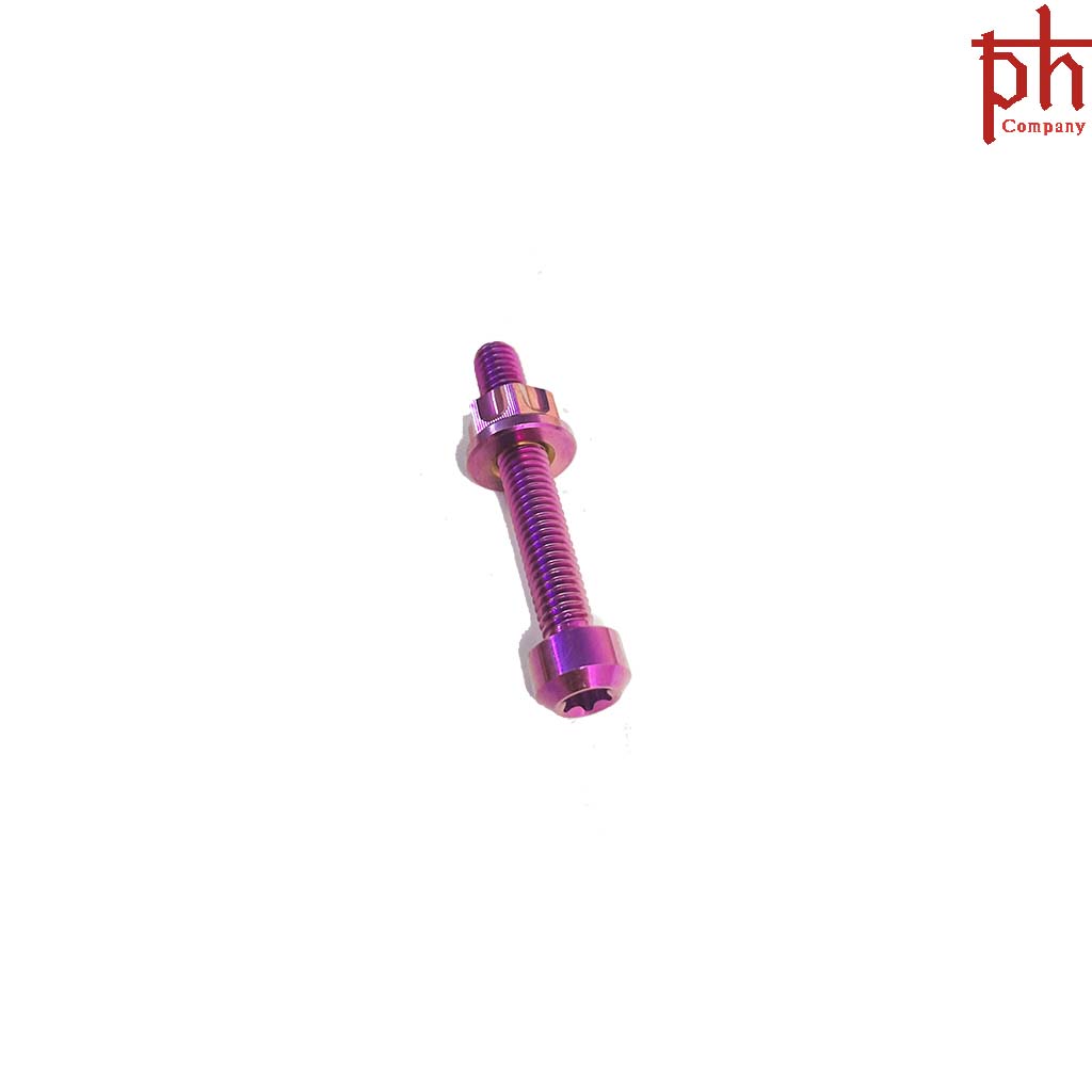 Bộ 2 ốc và tán gắng xỏ gác chân titan gr5 dòng xe honda-phs