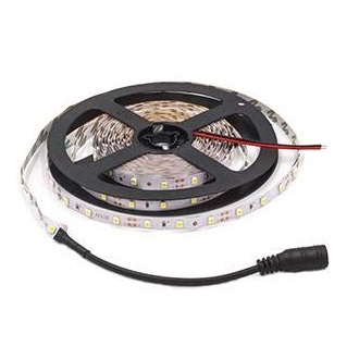 Dây Led 5050 12V 5m/ cuộn chống nước (chưa gồm nguồn)
