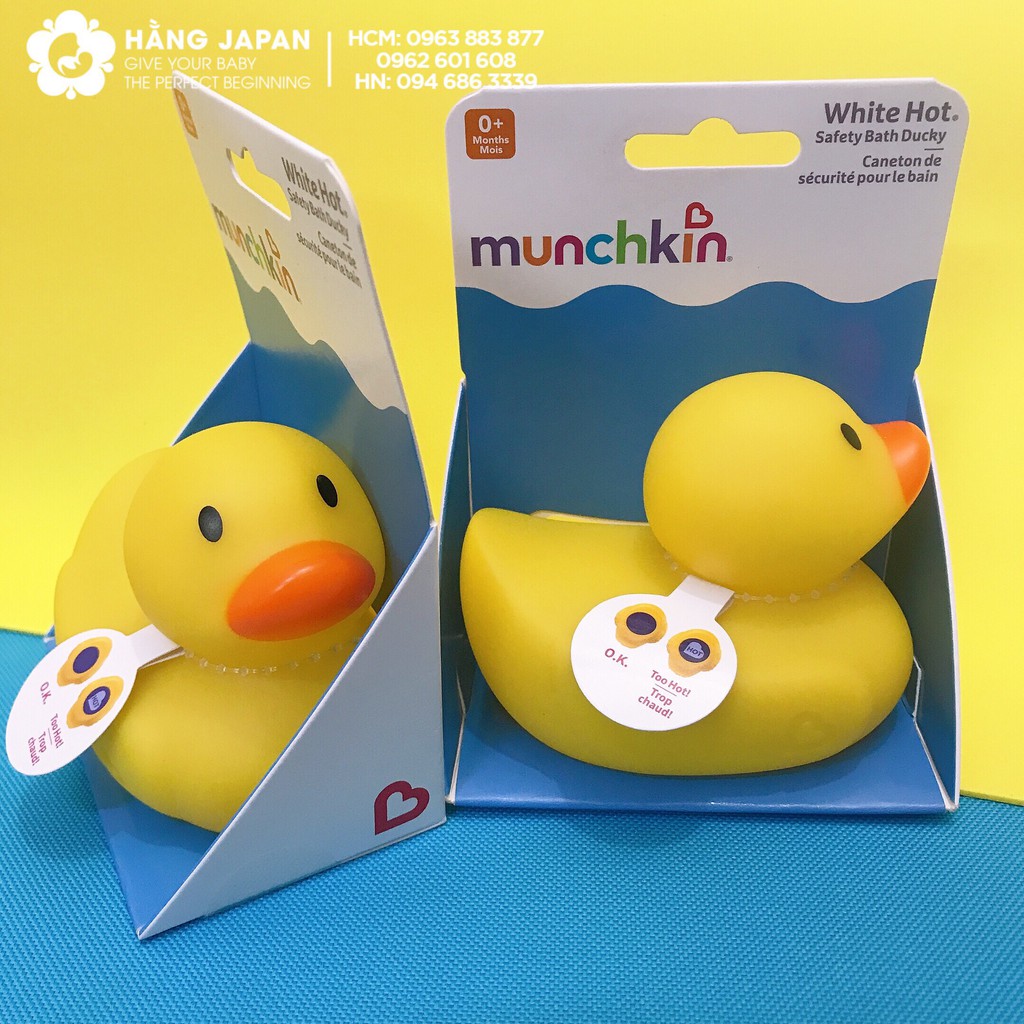 [HCM]VỊT VÀNG BÁO NÓNG MUNCHKIN - MỸ