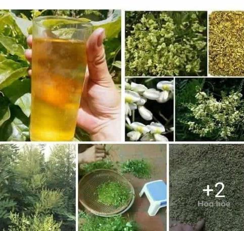 Hoa Hoè Khô -1kg