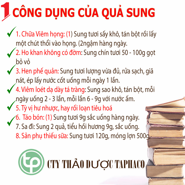 [Hàng mới về] Quả sung sấy khô 1kg - tấn phát - Chuyên dùng để pha trà hỗ trợ cải thiện sức khỏe