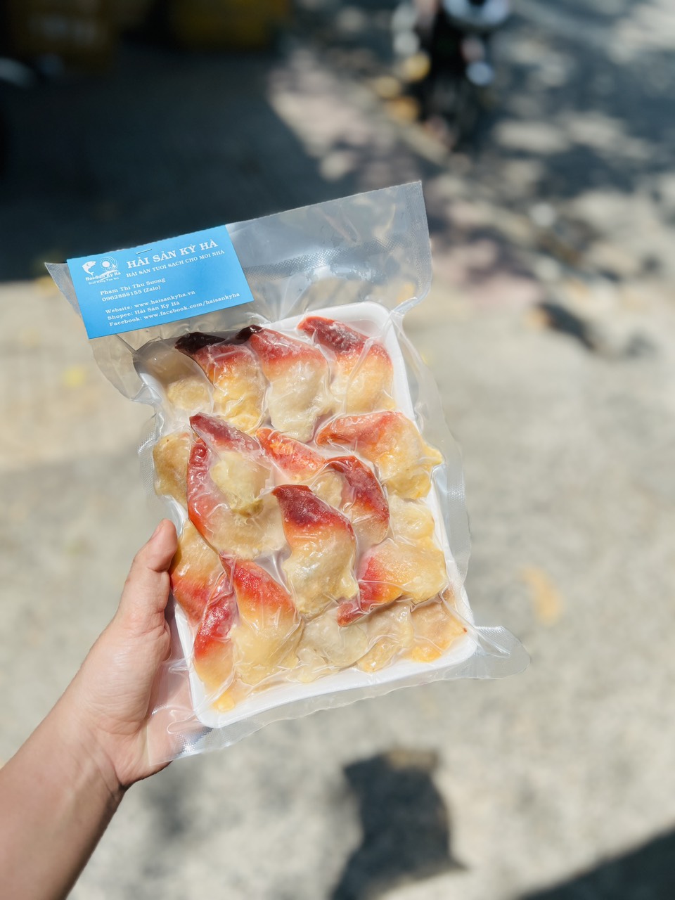 [GIAO NHANH 2H HCM] Giá Sỉ 1Kg Sò Đỏ Sashimi