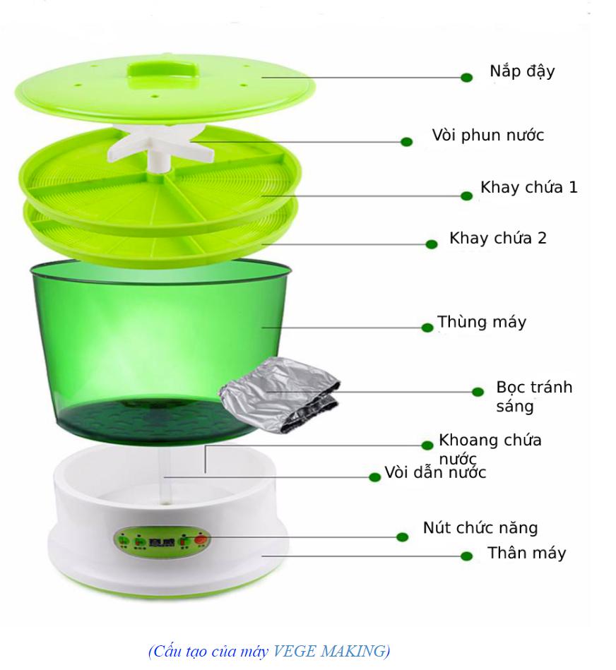 It smart - THỰC PHẨM HỮU CƠ SẠCH CÙNG VEGE MAKING