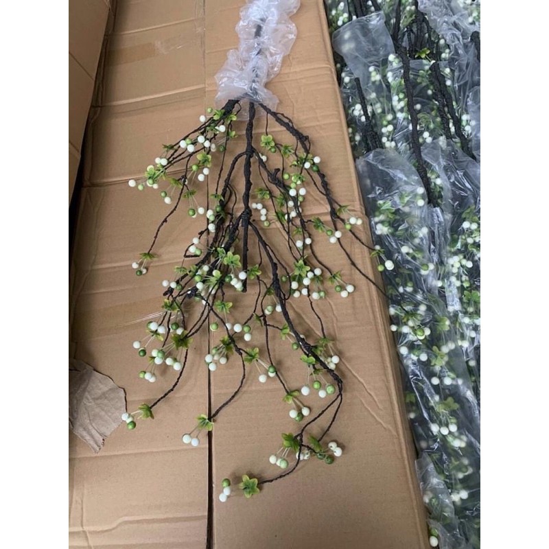 Cành Chery cổ (Cành Tuyết sơ ry cổ) cao cấp