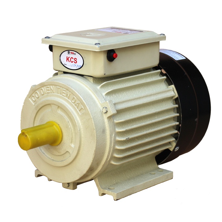 ĐỘNG CƠ ĐIỆN TIẾN ĐẠT 2HP-2900