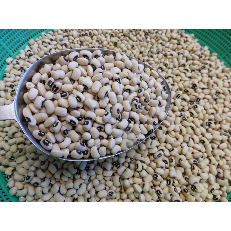 2KG ĐẬU TRẮNG BI (hạt)