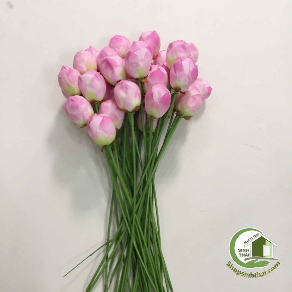 [HCM]Cành hoa sen giả - cành sen vải lụa cao cấp