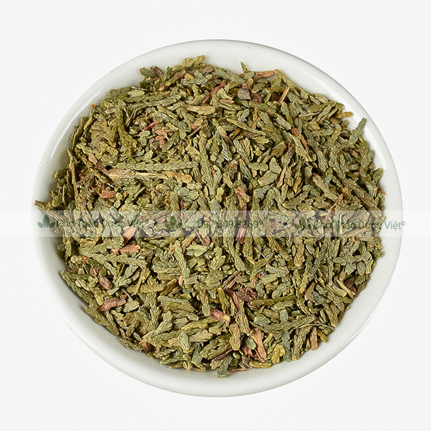 [Giá sỉ] 1kg Trắc Bách Diệp (Khô, xanh, sạch)