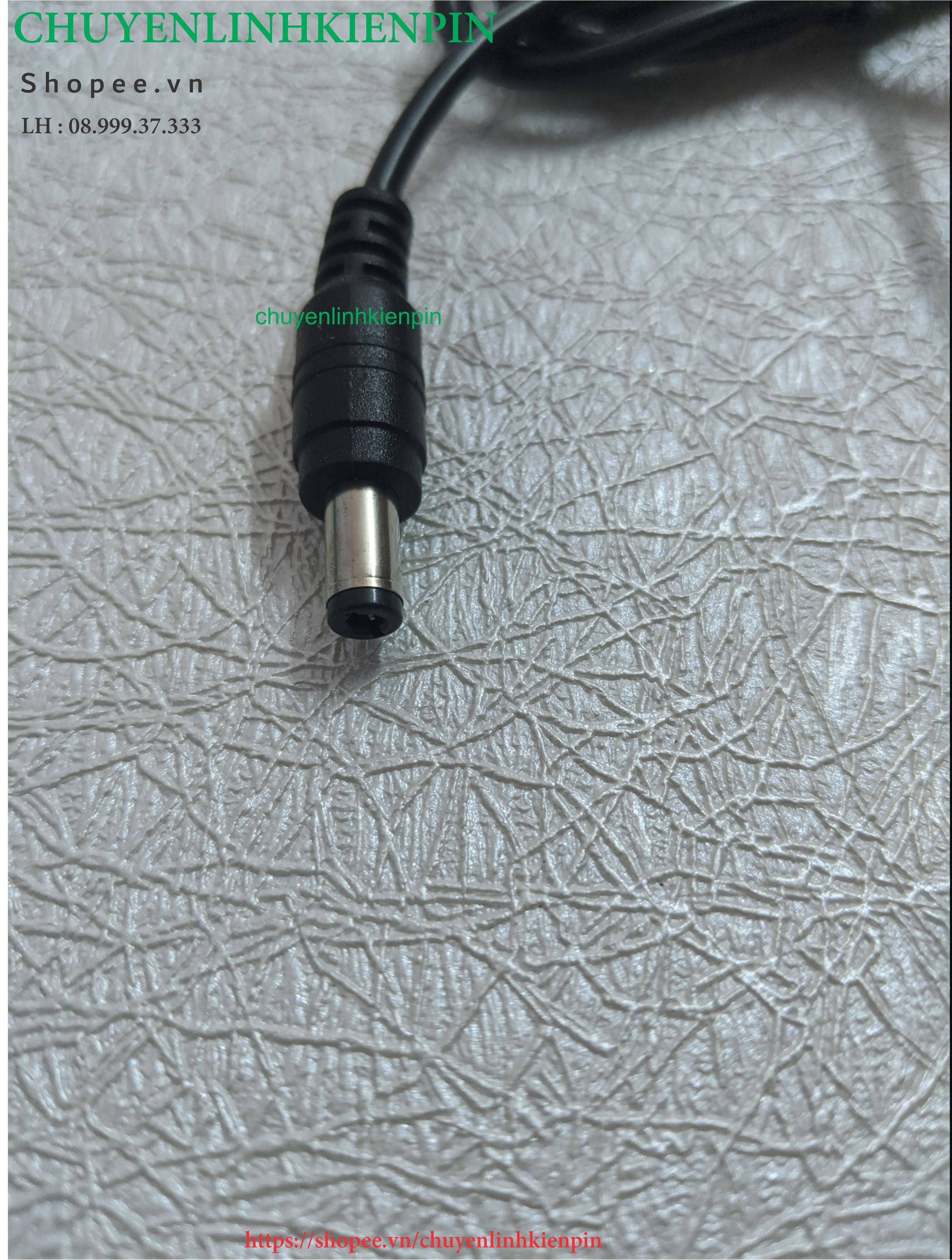 Sạc Lion 5S 21v 2A 1 dây ( BL64 40 )
