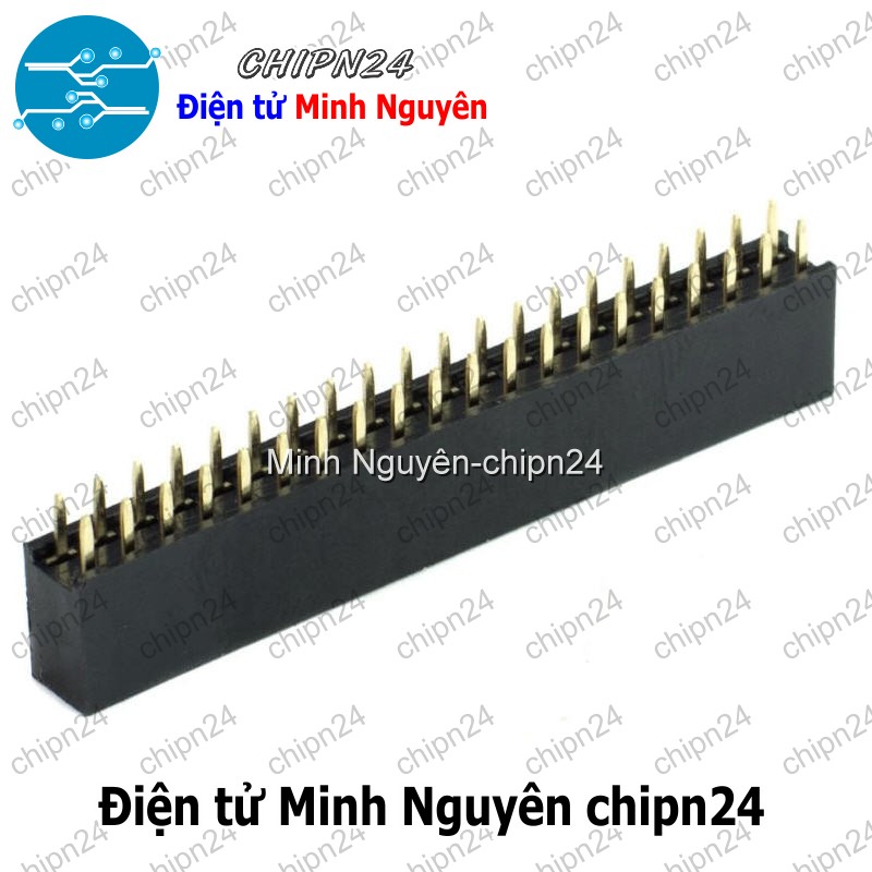 [2 cây] (H66) Hàng rào Cái Đôi Vuông 2.54MM 2x40p (Jump, Header) - HH000522