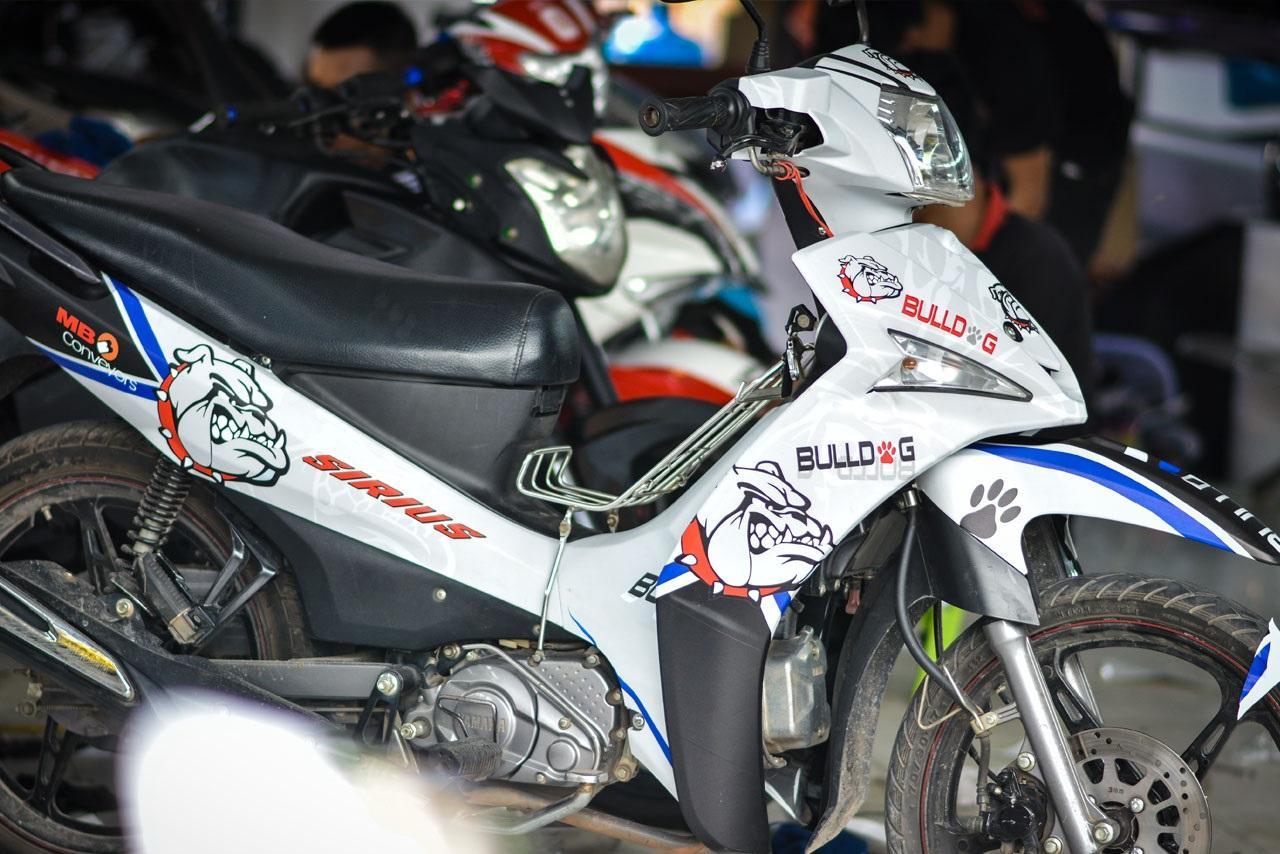 Tem trùm xe máy Sirius Fi Trắng Đỏ Đen Bull Dog - Tem xe máy sirius thiết kế theo yêu cầu - Tem xe sirius trắng đỏ đen rẻ đẹp