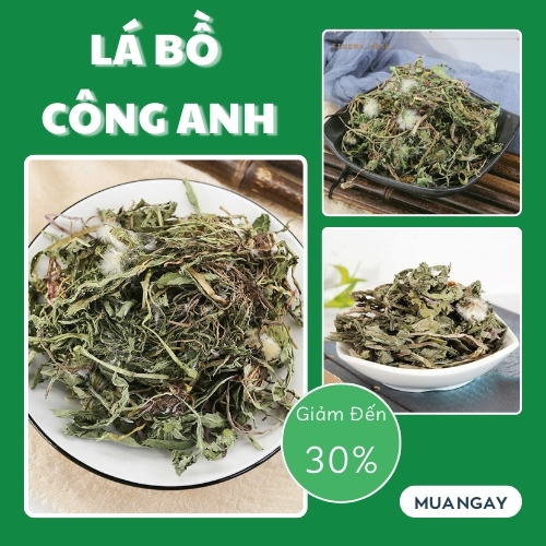 [Hàng mới về] Lá bồ công anh khô 500g -  Thảo Dược Tấn Phát - Hỗ trợ cải thiện sức khỏe người bệnh tiểu đường